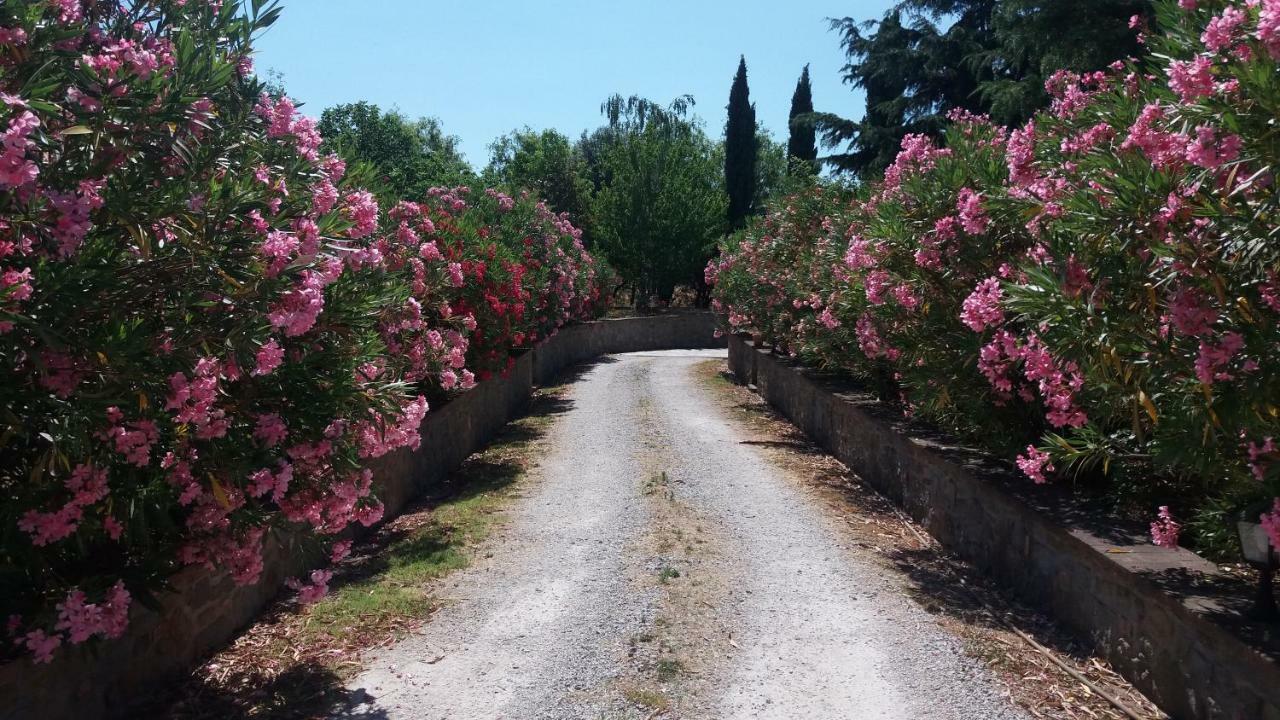 Villa San Marco Cortona Zewnętrze zdjęcie